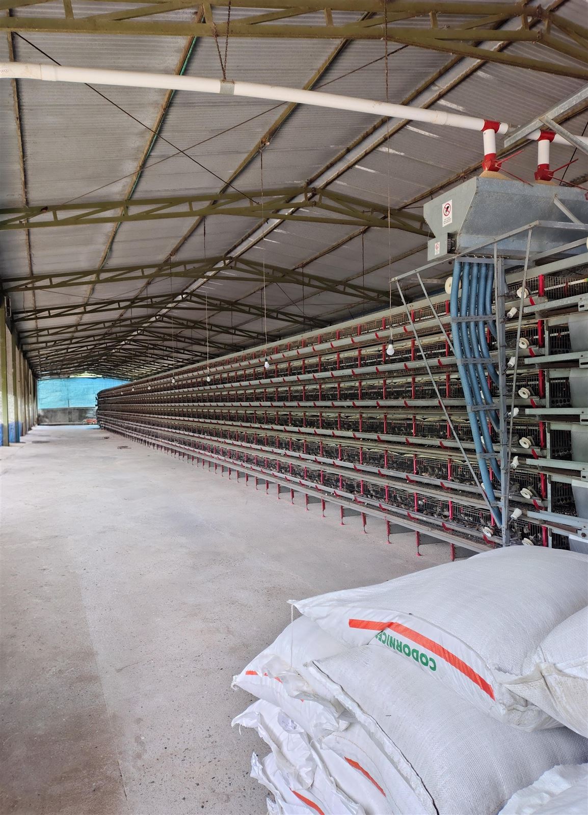 Nave de producción de Codorcol con módulos de jaulas en varios niveles
